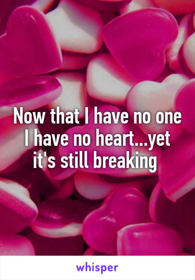 Now that I have no one I have no heart...yet it's still breaking 
