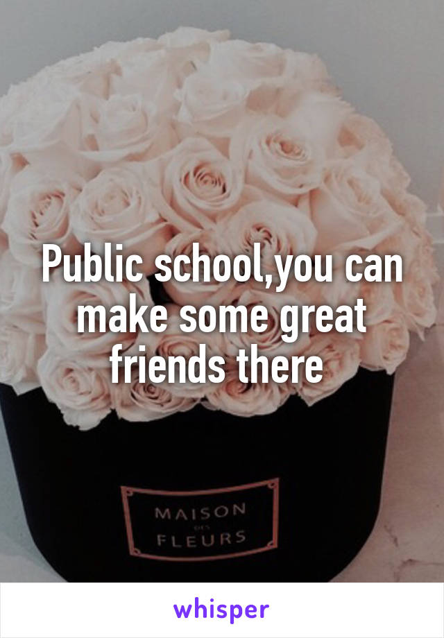 Public school,you can make some great friends there 