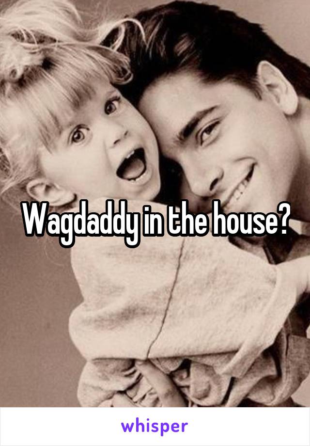 Wagdaddy in the house?