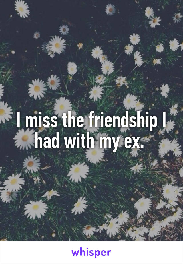 I miss the friendship I had with my ex. 