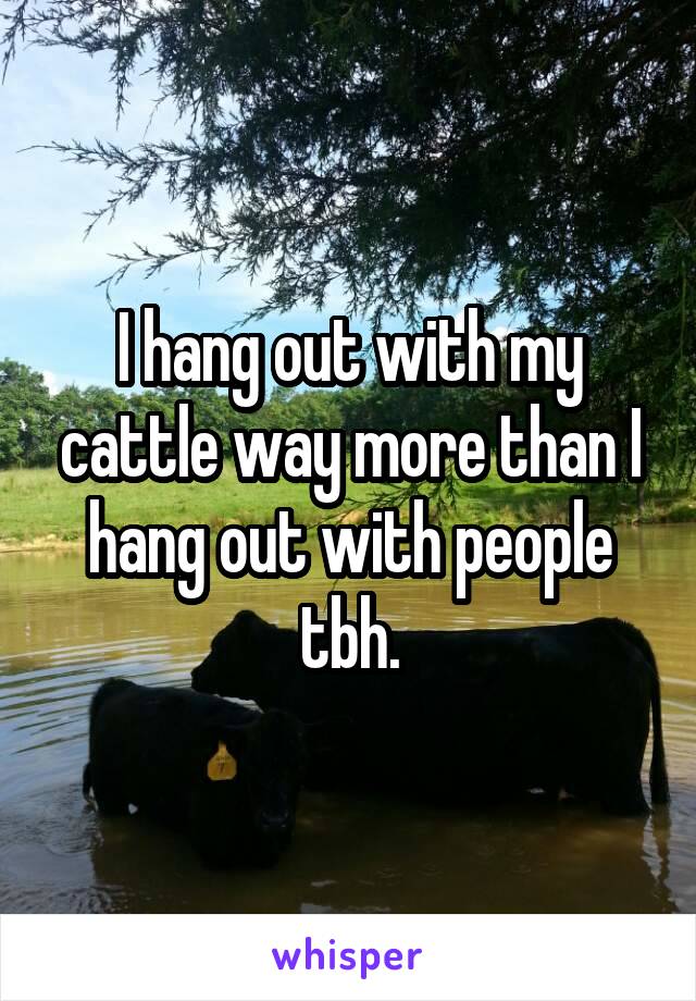 I hang out with my cattle way more than I hang out with people tbh.