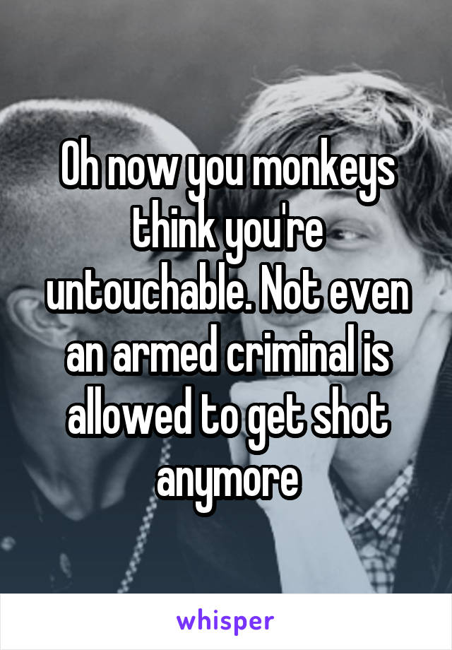 Oh now you monkeys think you're untouchable. Not even an armed criminal is allowed to get shot anymore
