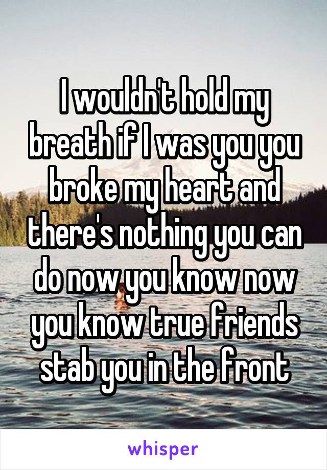 I wouldn't hold my breath if I was you you broke my heart and there's nothing you can do now you know now you know true friends stab you in the front