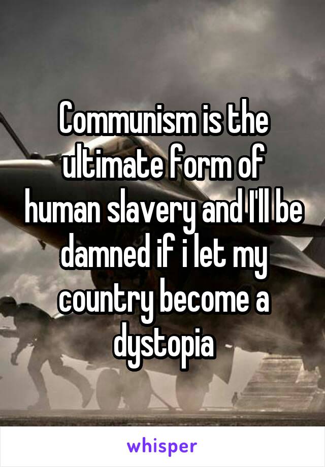 Communism is the ultimate form of human slavery and I'll be damned if i let my country become a dystopia