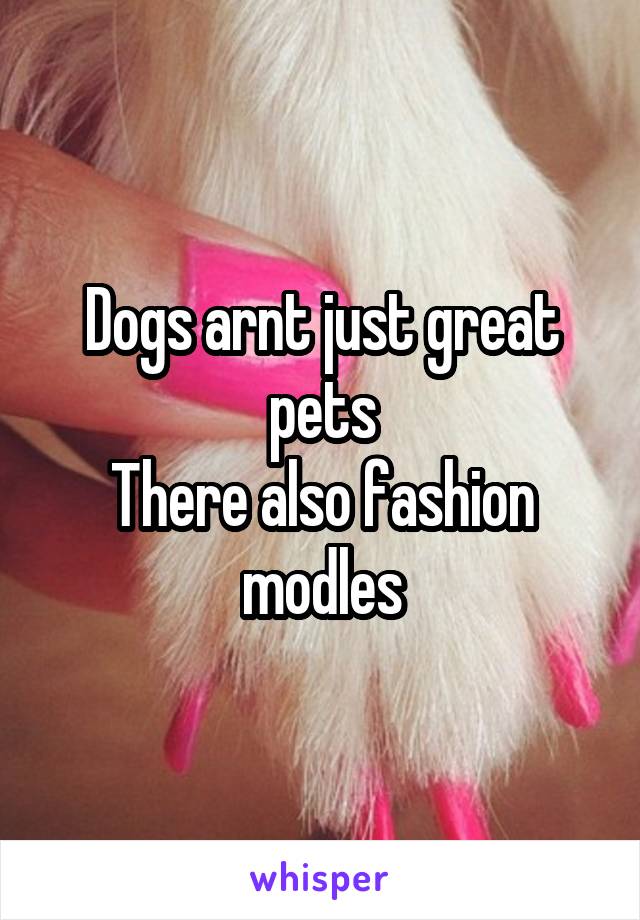 Dogs arnt just great pets
There also fashion modles