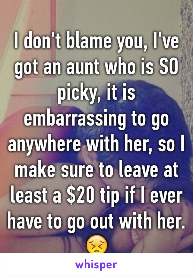 I don't blame you, I've got an aunt who is SO picky, it is embarrassing to go anywhere with her, so I make sure to leave at least a $20 tip if I ever have to go out with her. 😣