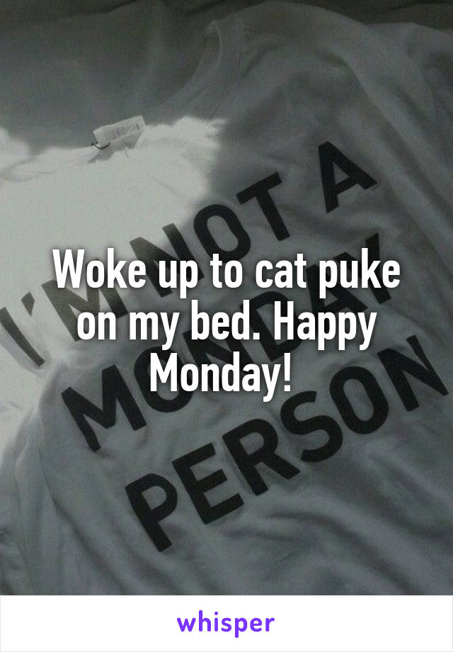 Woke up to cat puke on my bed. Happy Monday! 