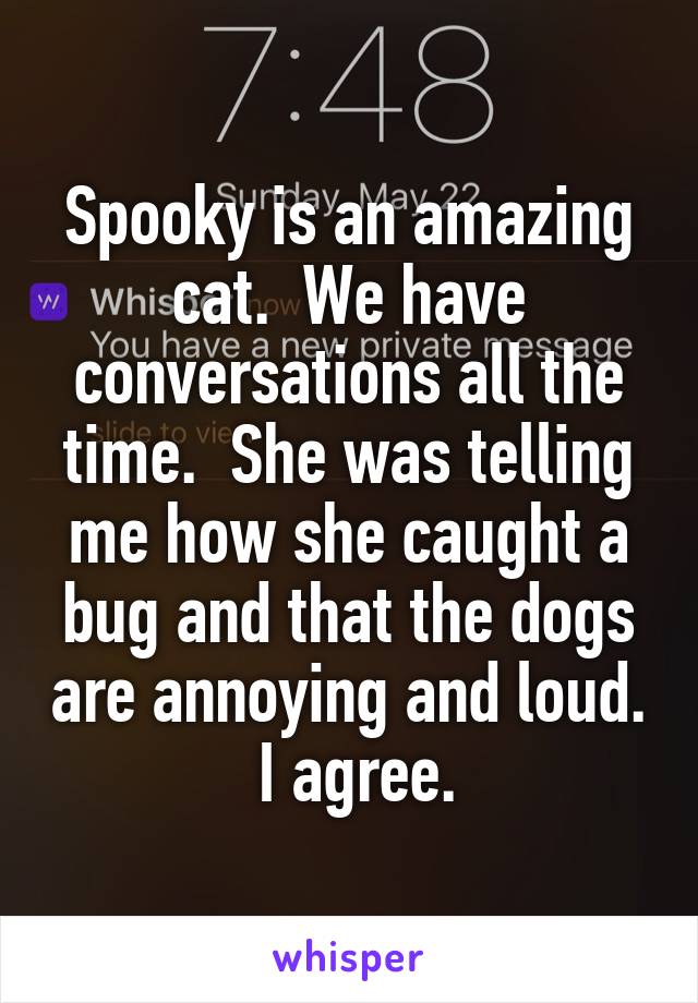Spooky is an amazing cat.  We have conversations all the time.  She was telling me how she caught a bug and that the dogs are annoying and loud.  I agree.