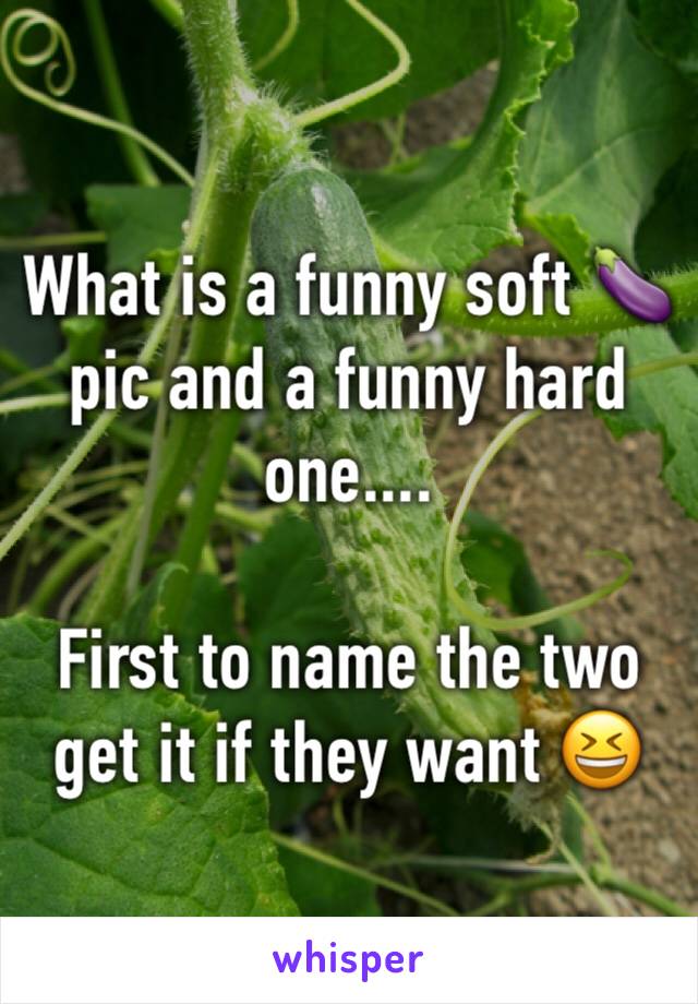 What is a funny soft 🍆 pic and a funny hard one....

First to name the two get it if they want 😆