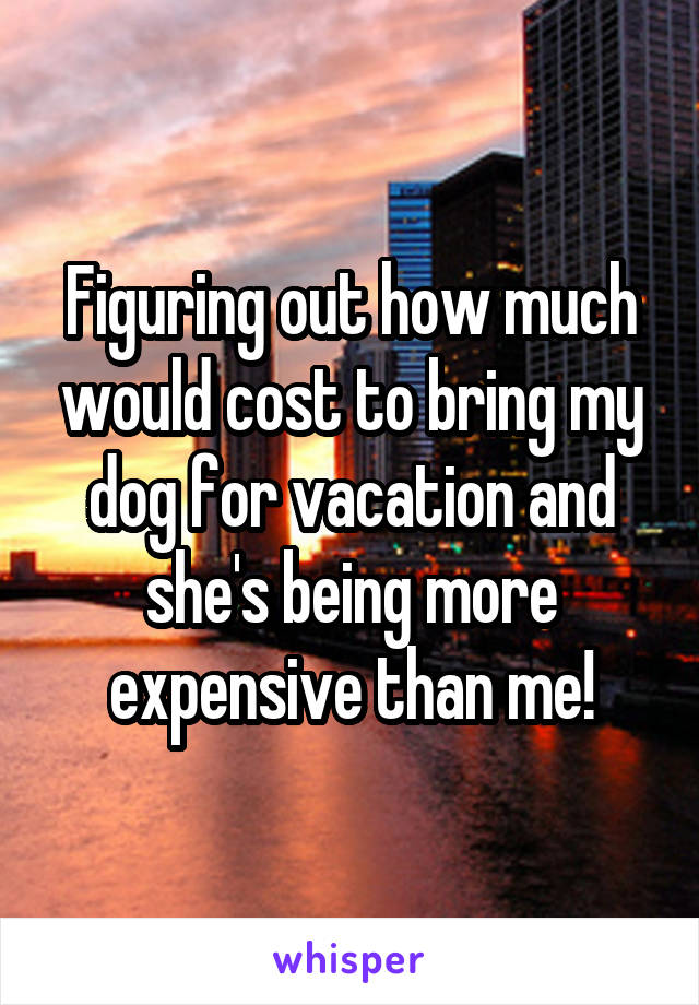 Figuring out how much would cost to bring my dog for vacation and she's being more expensive than me!