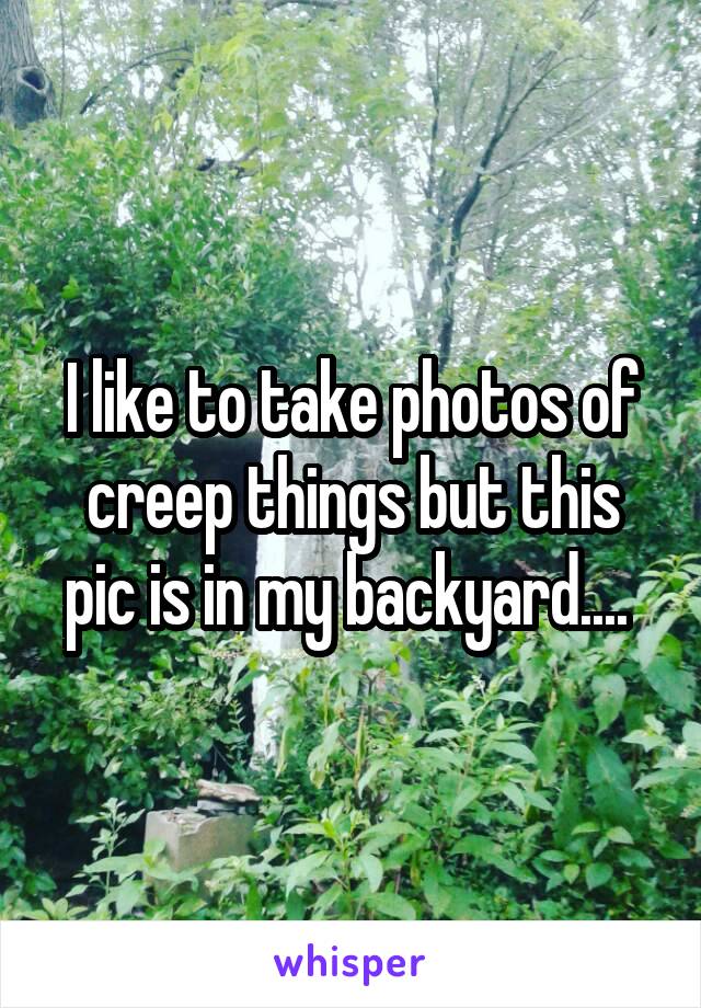 I like to take photos of creep things but this pic is in my backyard.... 