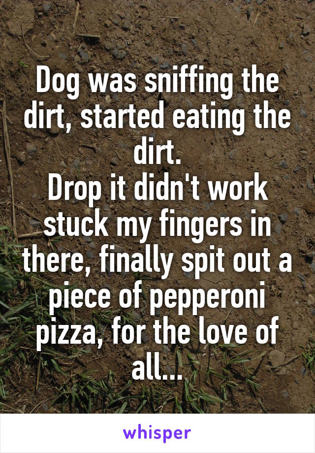 Dog was sniffing the dirt, started eating the dirt.
Drop it didn't work stuck my fingers in there, finally spit out a piece of pepperoni pizza, for the love of all...