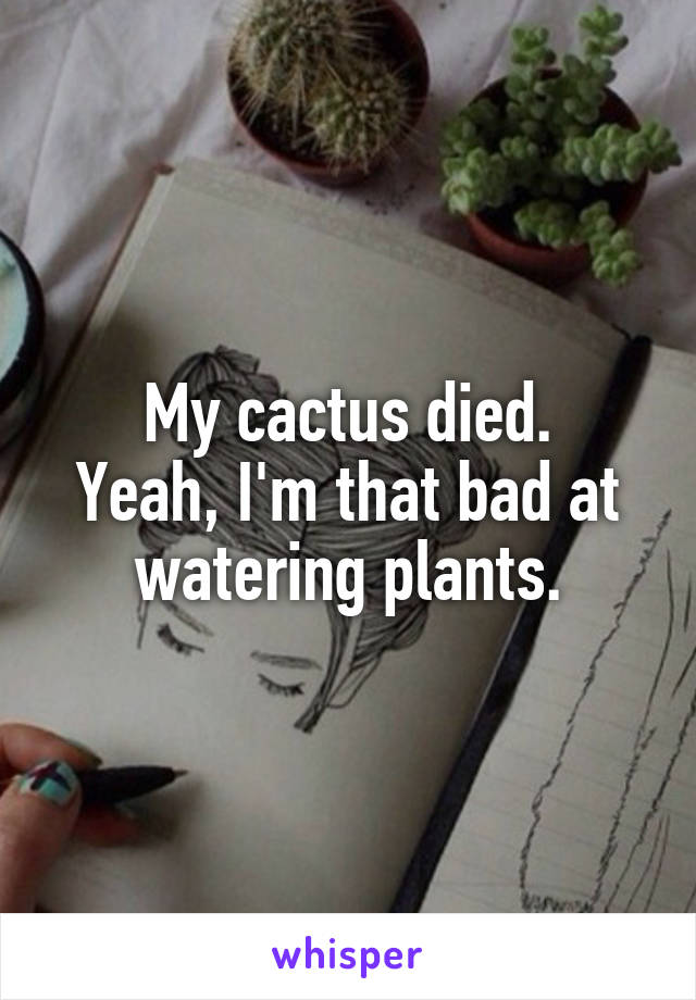 My cactus died.
Yeah, I'm that bad at watering plants.