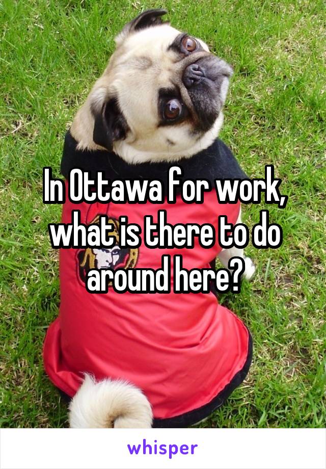 In Ottawa for work, what is there to do around here?