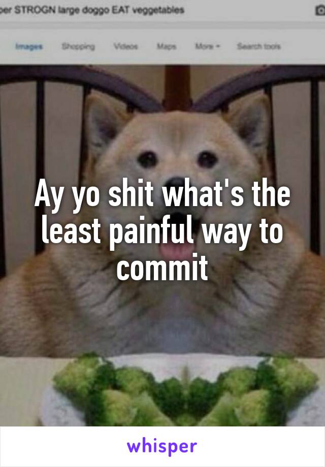 Ay yo shit what's the least painful way to commit