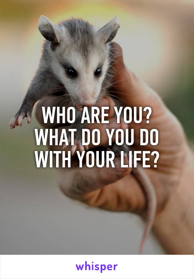 WHO ARE YOU?
WHAT DO YOU DO WITH YOUR LIFE?