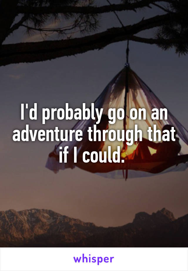 I'd probably go on an adventure through that if I could. 