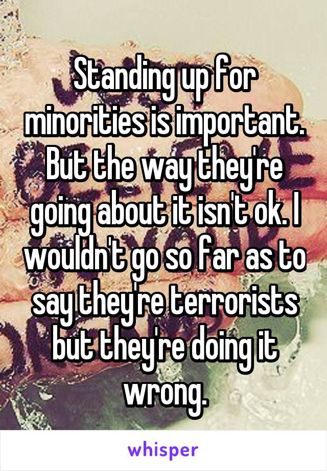 Standing up for minorities is important. But the way they're going about it isn't ok. I wouldn't go so far as to say they're terrorists but they're doing it wrong.