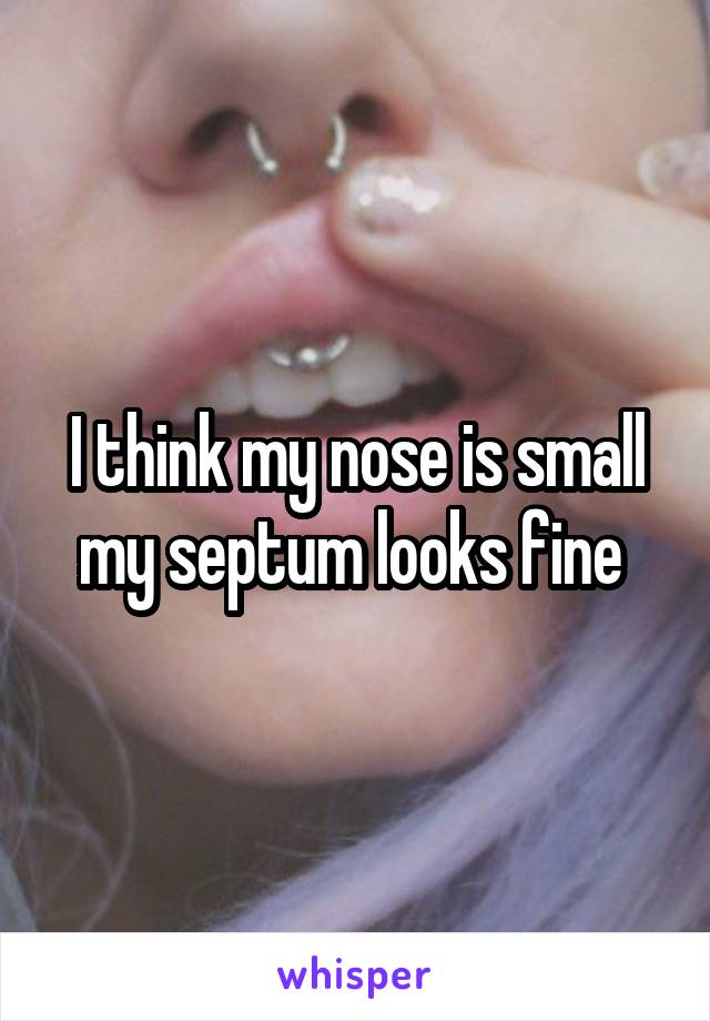 I think my nose is small my septum looks fine 