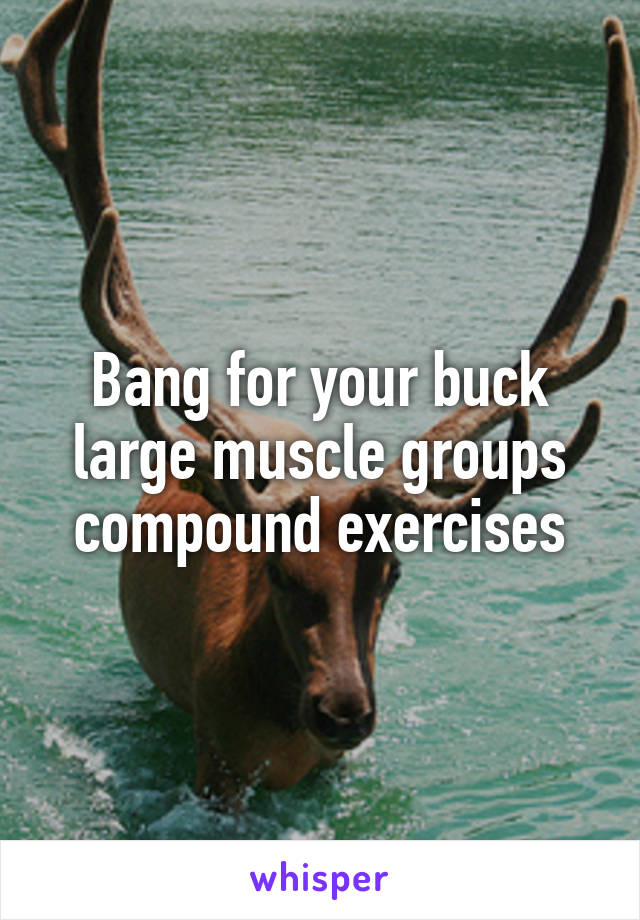 Bang for your buck large muscle groups compound exercises