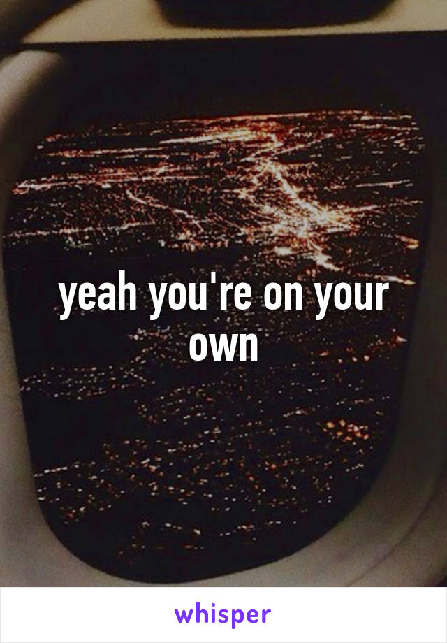 yeah you're on your own