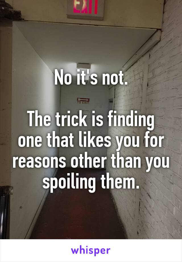 No it's not.

The trick is finding one that likes you for reasons other than you spoiling them.