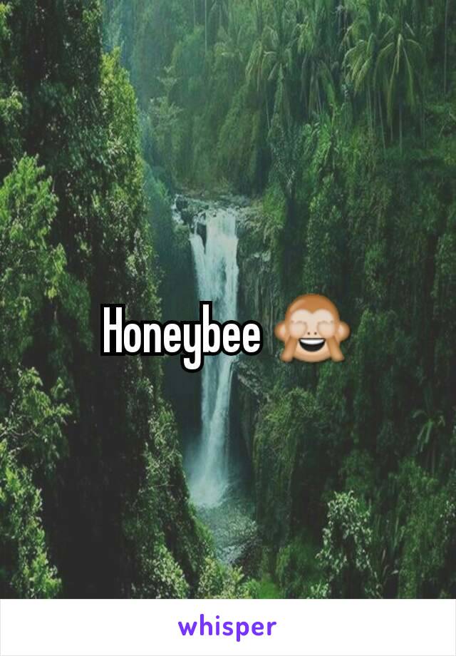 Honeybee 🙈
