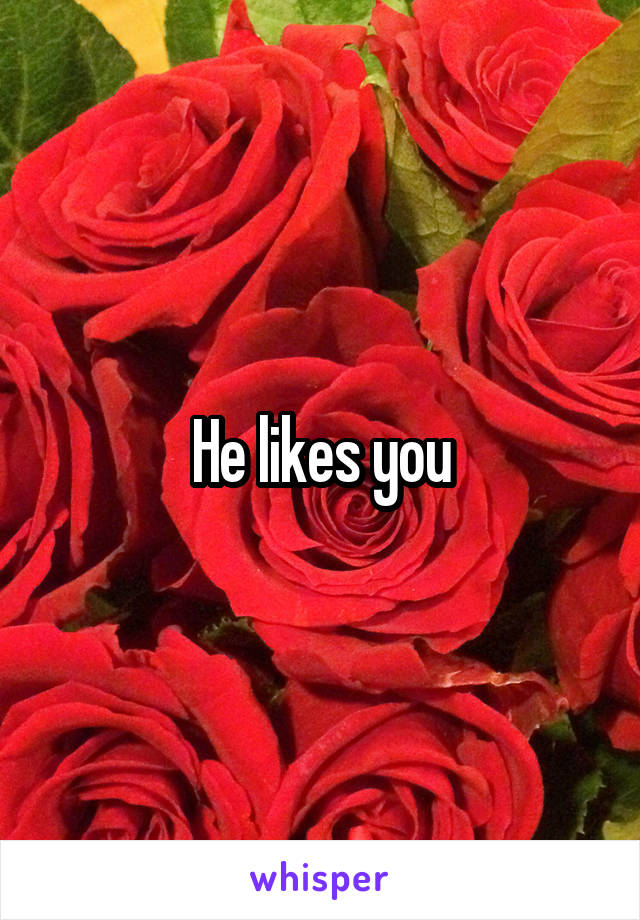 He likes you
