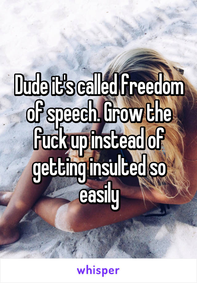 Dude it's called freedom of speech. Grow the fuck up instead of getting insulted so easily