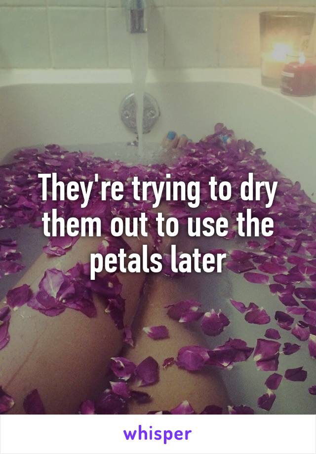 They're trying to dry them out to use the petals later