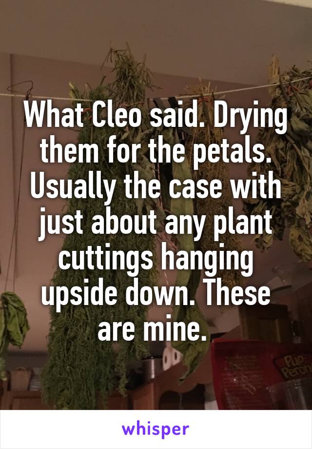 What Cleo said. Drying them for the petals. Usually the case with just about any plant cuttings hanging upside down. These are mine. 