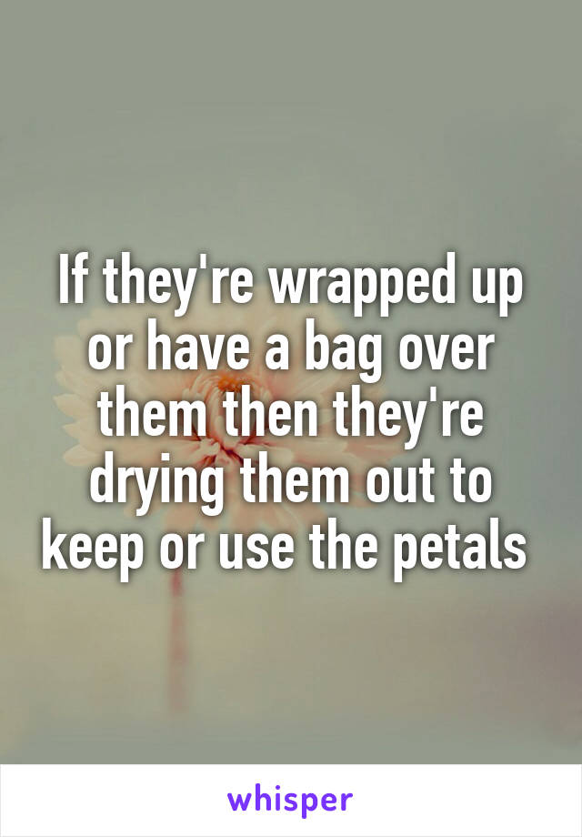 If they're wrapped up or have a bag over them then they're drying them out to keep or use the petals 