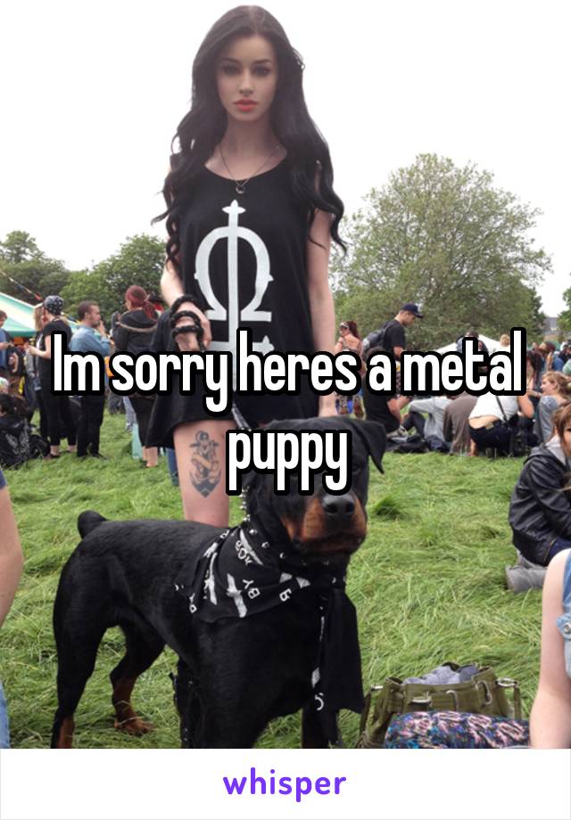 Im sorry heres a metal puppy