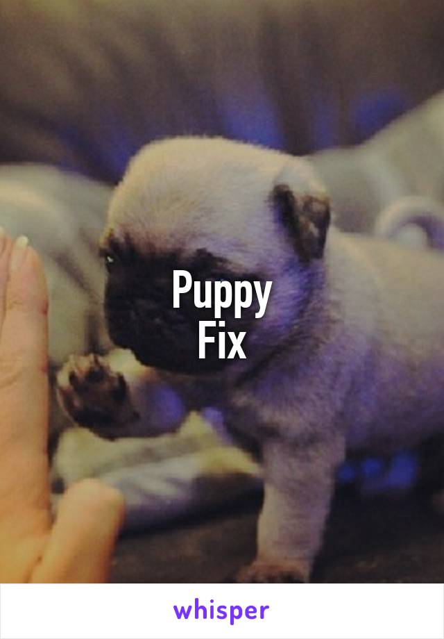 Puppy
Fix