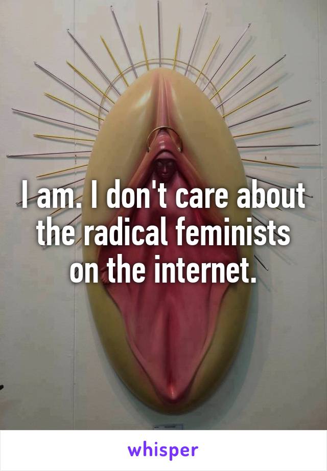 I am. I don't care about the radical feminists on the internet.