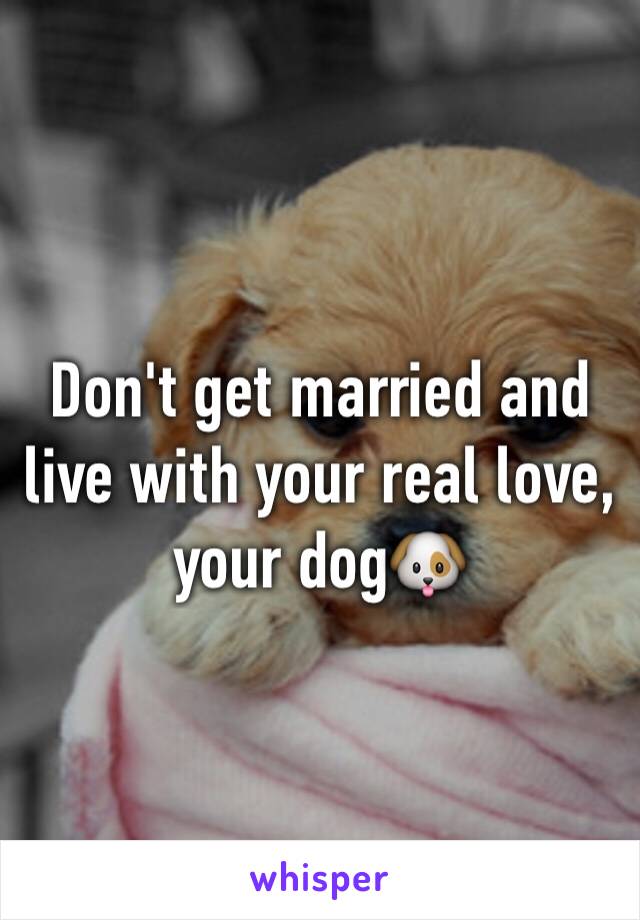 Don't get married and live with your real love, your dog🐶