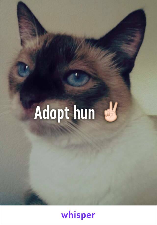 Adopt hun ✌