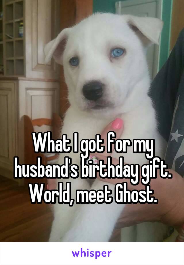 


What I got for my husband's birthday gift. World, meet Ghost.