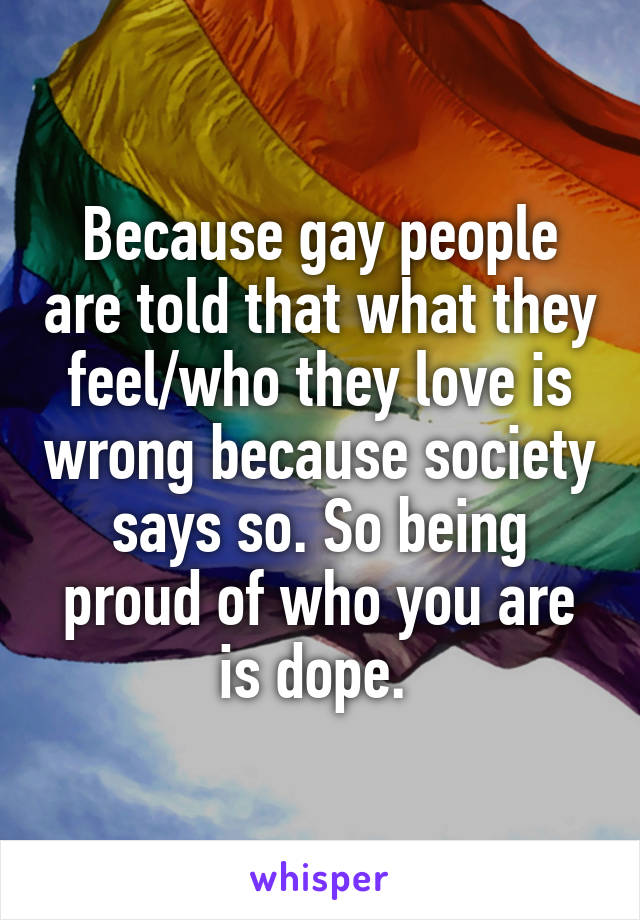 Because gay people are told that what they feel/who they love is wrong because society says so. So being proud of who you are is dope. 