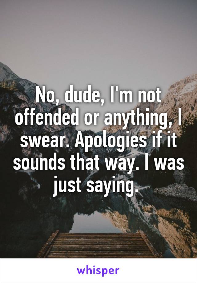 No, dude, I'm not offended or anything, I swear. Apologies if it sounds that way. I was just saying. 