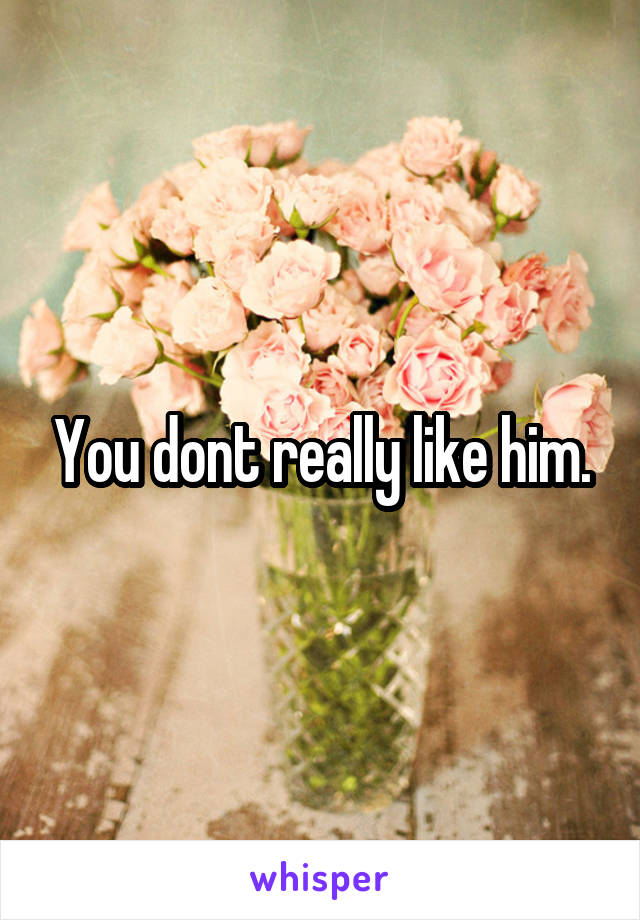 You dont really like him.