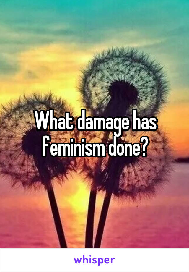 What damage has feminism done?