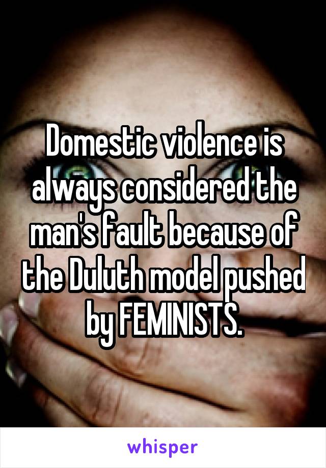 Domestic violence is always considered the man's fault because of the Duluth model pushed by FEMINISTS.