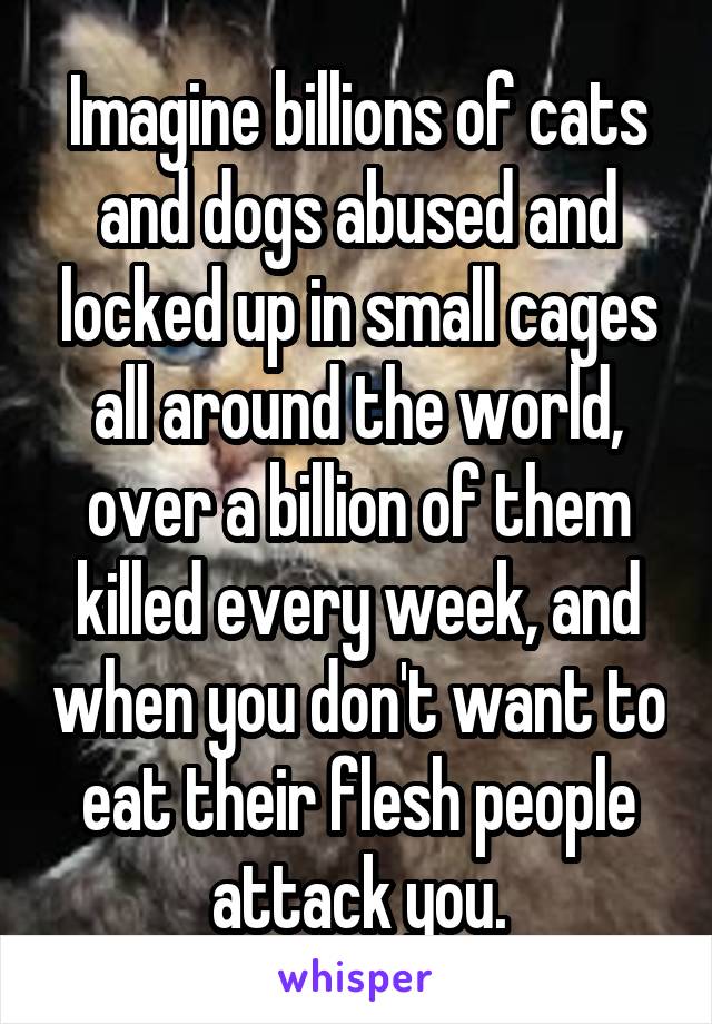 Imagine billions of cats and dogs abused and locked up in small cages all around the world, over a billion of them killed every week, and when you don't want to eat their flesh people attack you.