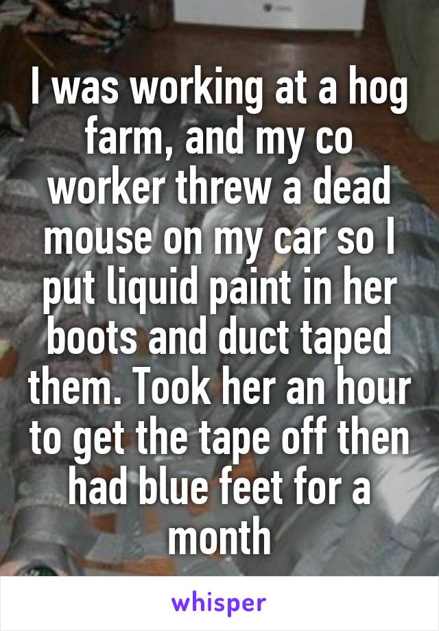 I was working at a hog farm, and my co worker threw a dead mouse on my car so I put liquid paint in her boots and duct taped them. Took her an hour to get the tape off then had blue feet for a month
