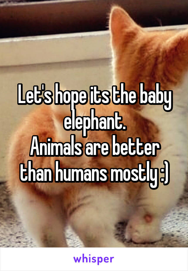 Let's hope its the baby elephant.
Animals are better than humans mostly :)