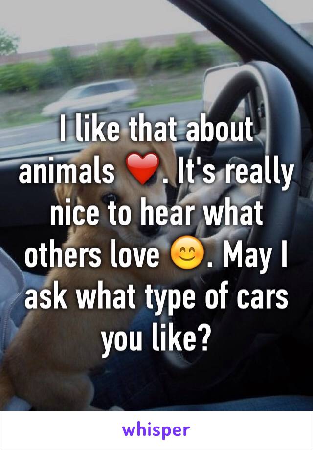I like that about animals ❤️. It's really nice to hear what others love 😊. May I ask what type of cars you like?