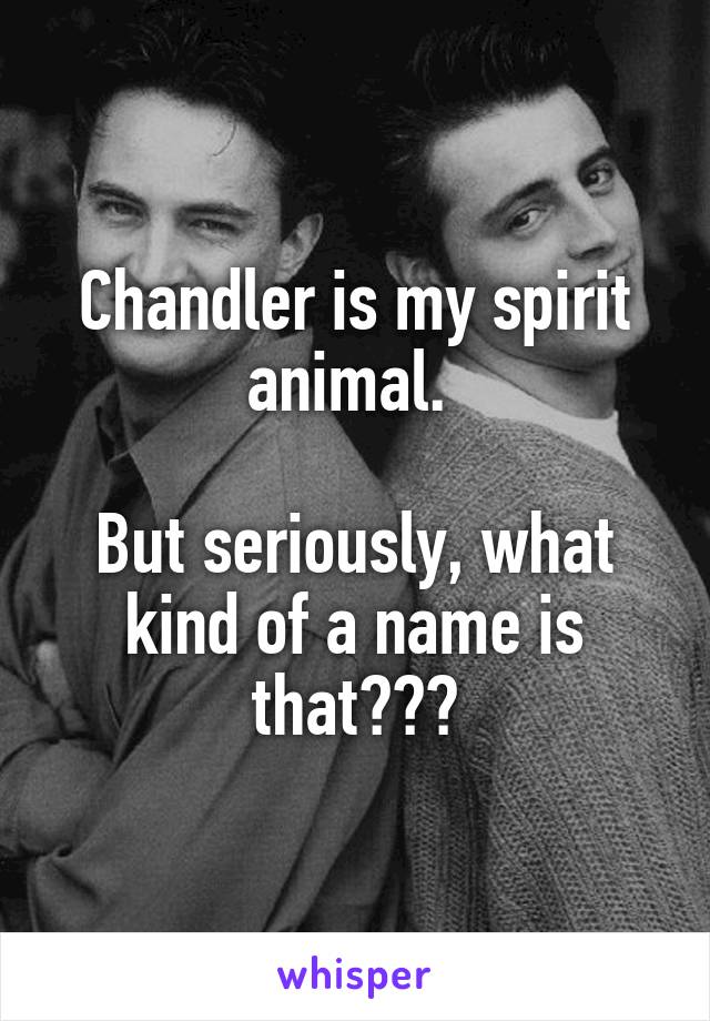 Chandler is my spirit animal. 

But seriously, what kind of a name is that???