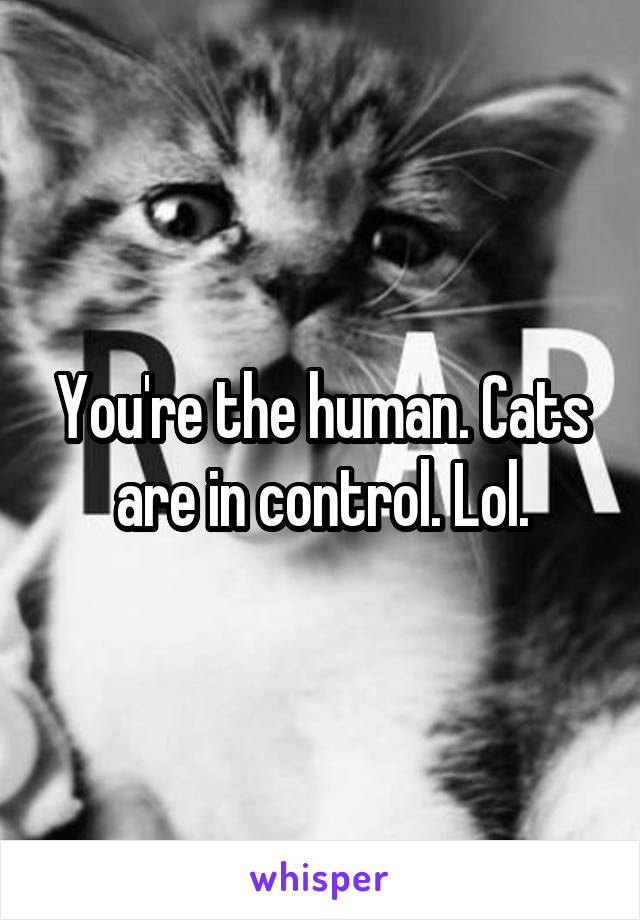 You're the human. Cats are in control. Lol.