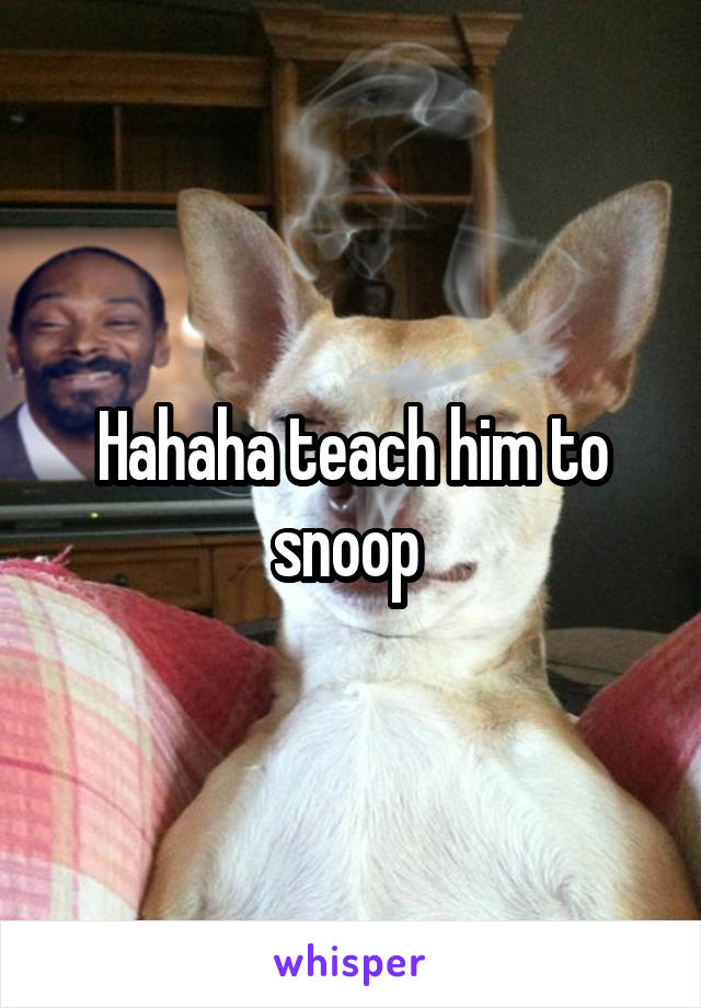 Hahaha teach him to snoop 